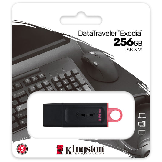 Kingston 256GB USB 3.2 DataTraveler Memory Stick