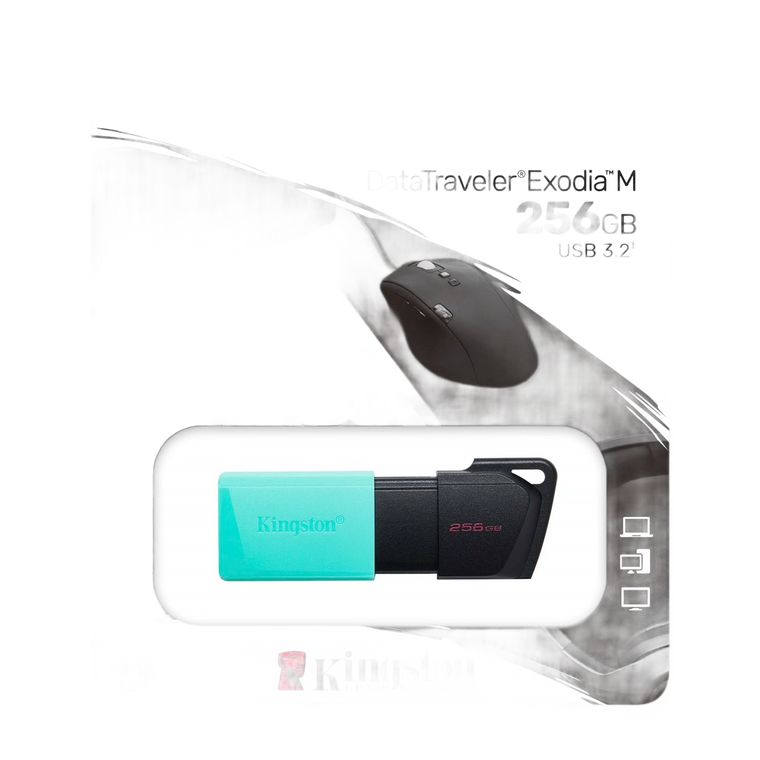 256GB USB Flash Drive Data Backup USB3.2 Connection - Kingston