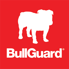BullGuard (Norton) Partner of the year