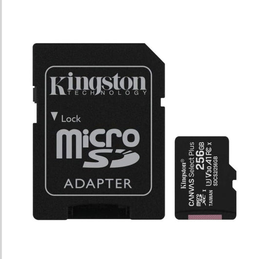 Kingston 256GB MicroSD with SD Adapter - Backup Storage