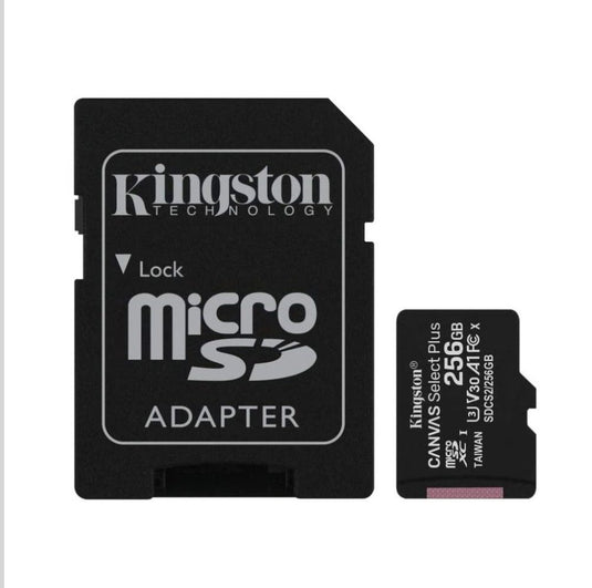 Kingston 256GB MicroSD with SD Adapter